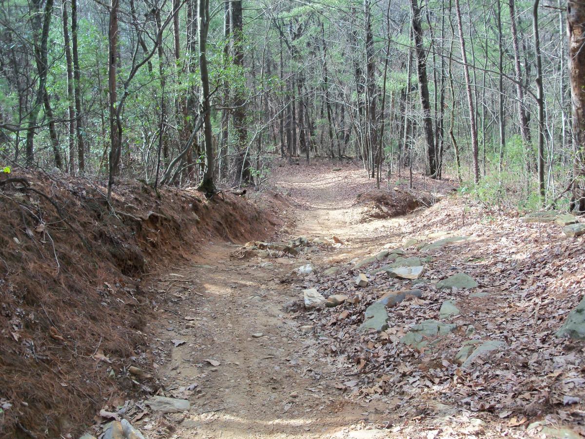 A dirt trail winding through a forest, surrounded by tall trees and scattered dry leaves, with rocky patches along the path. The scene is tranquil and showcases natural vegetation in a wooded area. Bull / Jake Mountain mountain bike trail.