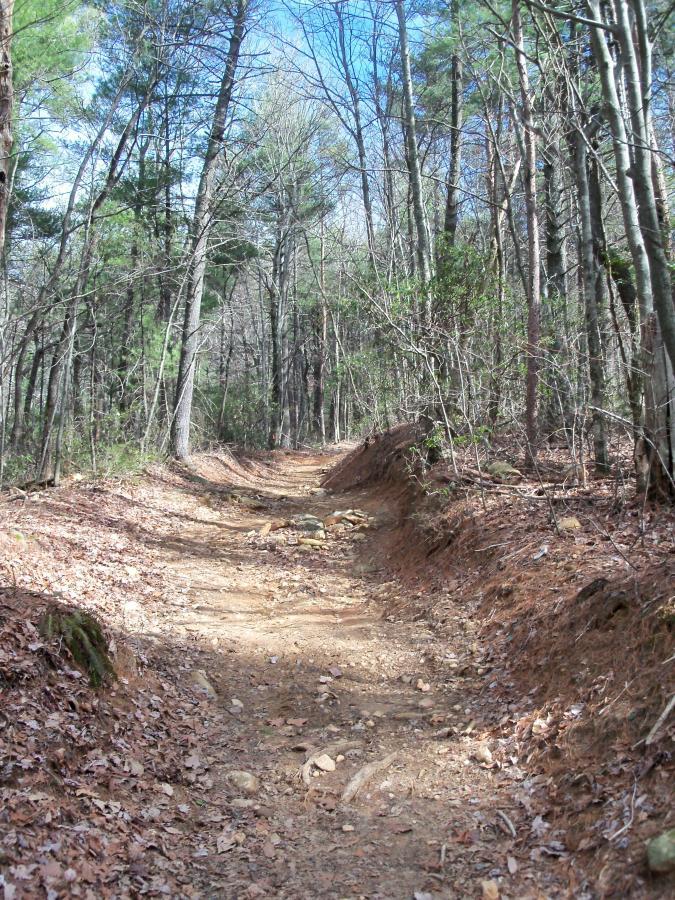 A narrow dirt path winding through a forest with tall trees on either side. The ground is covered with fallen leaves and rocks, and the sky is visible in the background, indicating a clear day. Bull / Jake Mountain mountain bike trail.