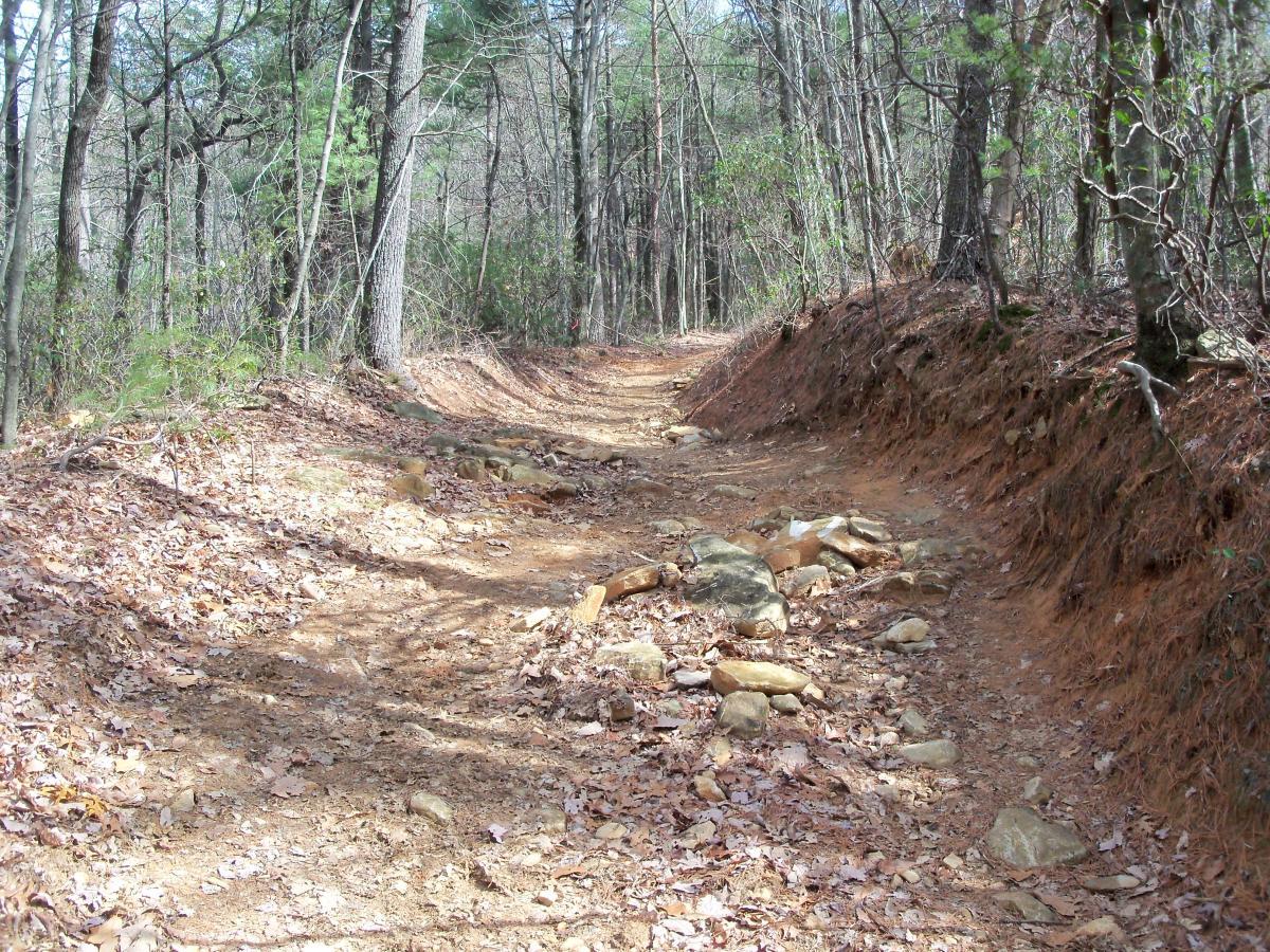 A narrow dirt trail winding through a forest, surrounded by trees and scattered leaves. The path features exposed rocks and a slight incline, indicating it is well-used and possibly rugged. The setting suggests a natural and serene outdoor environment. Bull / Jake Mountain mountain bike trail.