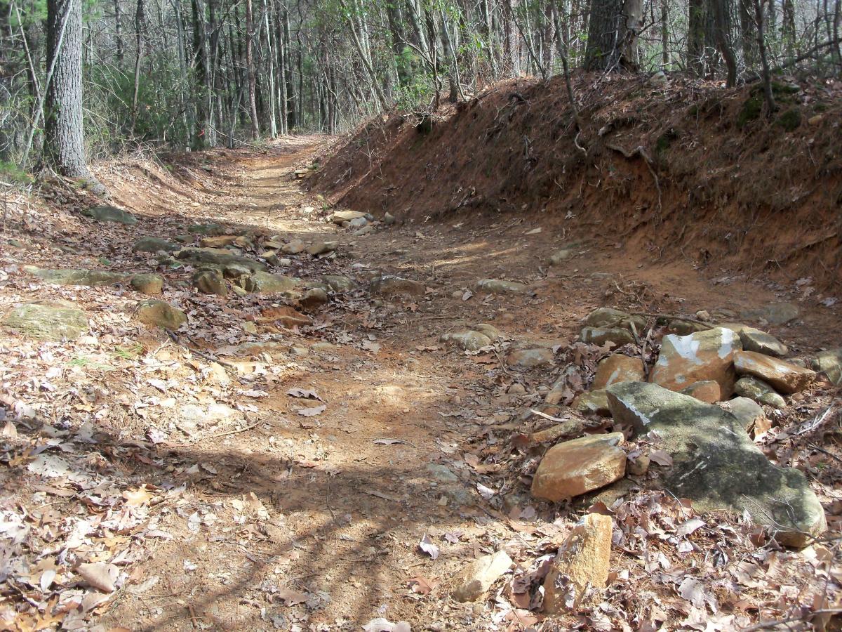 A dirt hiking trail surrounded by trees, featuring scattered rocks and fallen leaves along the path. The trail is moderately narrow, with a slight incline on one side and visible patches of soil. The scene is set in a wooded area, suggesting a quiet and natural environment. Bull / Jake Mountain mountain bike trail.