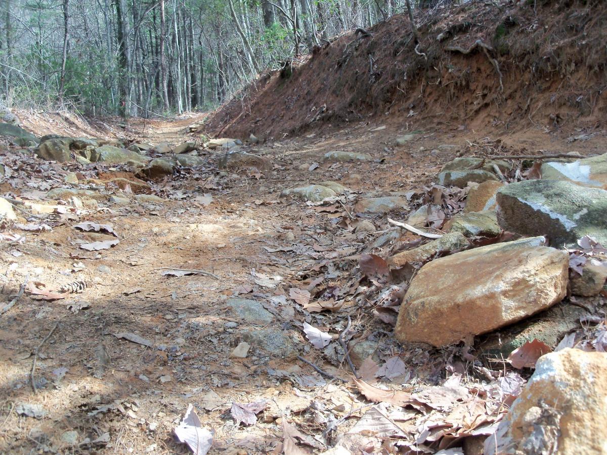 A rough dirt trail surrounded by trees, featuring scattered rocks and dried leaves on the ground. The path narrows ahead, with a slight incline on both sides, indicating a natural hiking route in a forested area. Bull / Jake Mountain mountain bike trail.