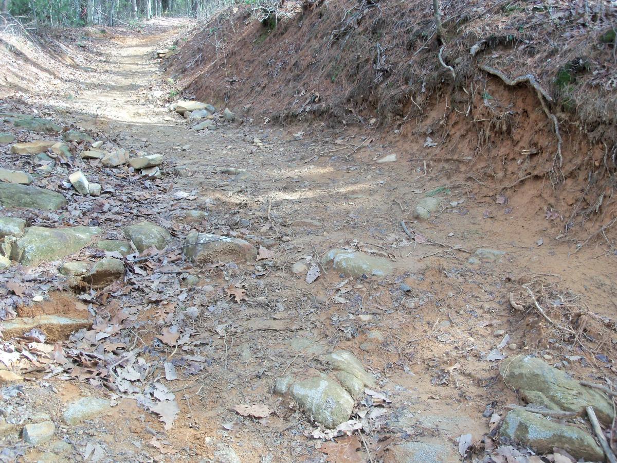 A dirt trail winding through a forest, lined with rocks and fallen leaves, flanked by sloping earth on both sides. The sunlight filters through the trees in the background, creating a natural, serene atmosphere. Bull / Jake Mountain mountain bike trail.