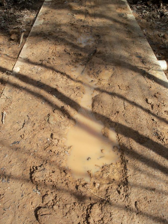 A muddy pathway with a puddle of water, surrounded by dirt and leaves. Shadows from nearby trees are visible on the ground, indicating a sunny day. The surface appears uneven and has tracks imprinted in the mud. Bull / Jake Mountain mountain bike trail.