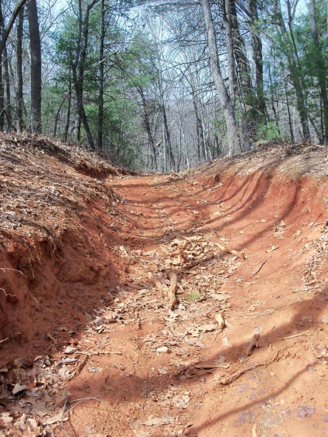 A winding path through a wooded area, featuring reddish soil and scattered dry leaves. The trail shows signs of wear, with distinct ruts and exposed roots along the edges. Sunlight filters through the trees, creating a serene atmosphere in the forest. Bull / Jake Mountain mountain bike trail.