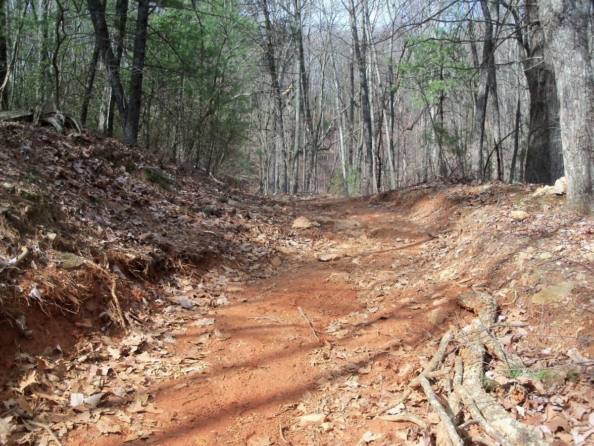 A dirt path winding through a wooded area, lined with fallen leaves and surrounded by trees. The trail features a reddish-brown soil and natural debris along the sides, creating a serene outdoor setting. Bull / Jake Mountain mountain bike trail.