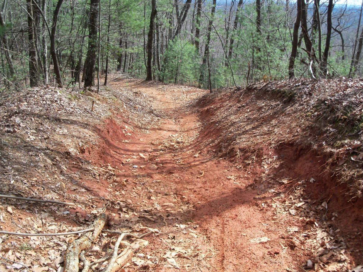 A narrow dirt path winds through a forest, surrounded by trees and sparse underbrush. The reddish soil shows signs of erosion, with ridges on either side of the trail. Fallen leaves and small branches are scattered along the ground, indicating a natural and serene outdoor setting. Bull / Jake Mountain mountain bike trail.