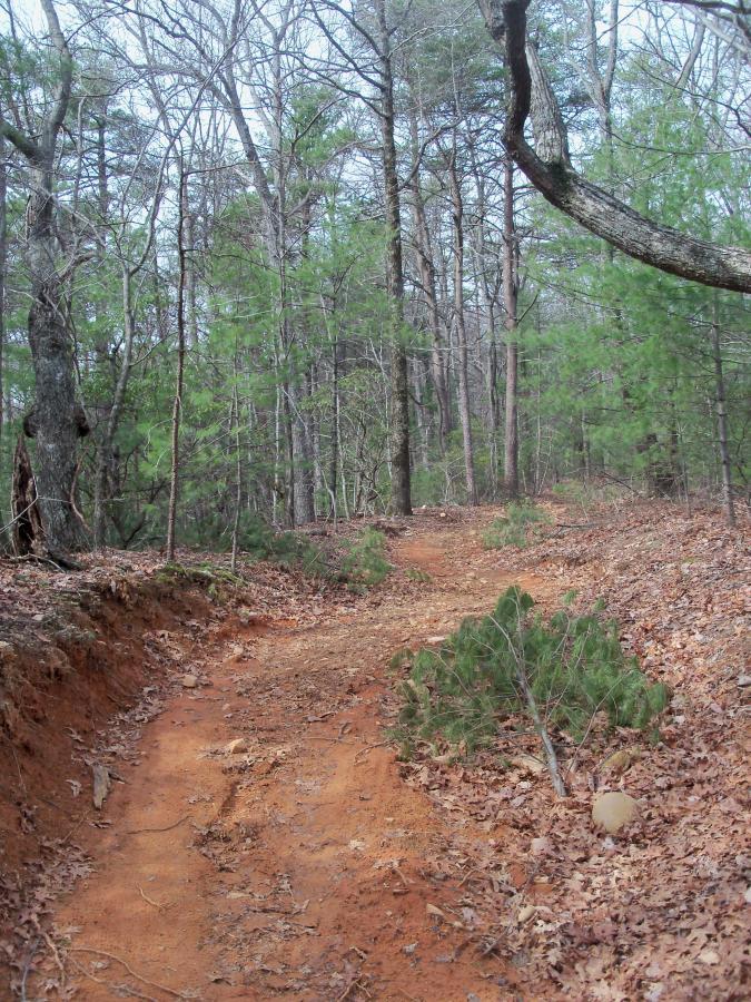 A dirt path winding through a forest, surrounded by trees with bare branches and evergreens. The ground is covered with reddish-brown soil and scattered leaves, leading deeper into the wooded area. Bull / Jake Mountain mountain bike trail.