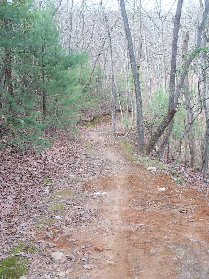A narrow dirt path winding through a forest, lined with bare trees and patches of green foliage. The ground is covered in fallen leaves and small stones, indicating a natural, untouched landscape. Bull / Jake Mountain mountain bike trail.