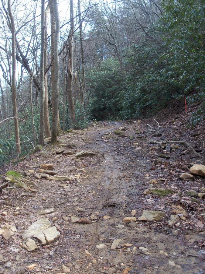 A narrow, muddy hiking path winds through a forest with tall, bare trees on one side and dense greenery on the other. The trail is lined with rocks and fallen branches, indicating a rugged terrain. The atmosphere appears peaceful and natural, suggesting a remote outdoor setting. Bull / Jake Mountain mountain bike trail.