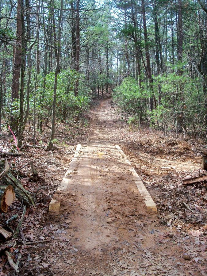 A dirt path winding through a forest, flanked by trees and underbrush. A wooden plank bridge spans a small section of the trail, set against a backdrop of lush greenery and scattered leaves on the ground. The sunlight filters through the branches, illuminating the scene. Bull / Jake Mountain mountain bike trail.