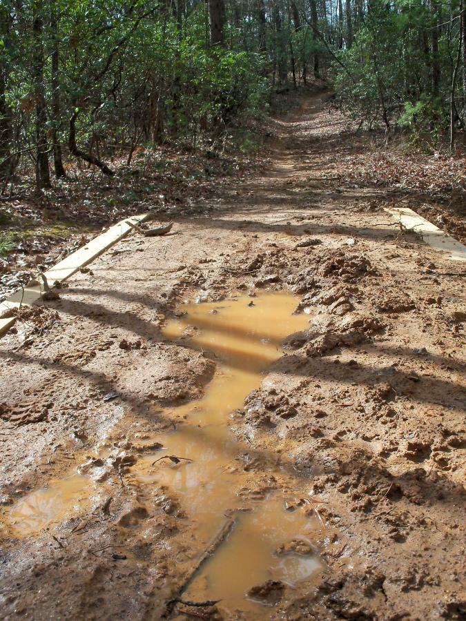 A dirt trail in a wooded area, showing muddy patches and a puddle of water. Wooden planks are laid across parts of the muddy ground to aid passage. Trees and foliage line both sides of the path, with fallen leaves scattered on the ground. Bull / Jake Mountain mountain bike trail.