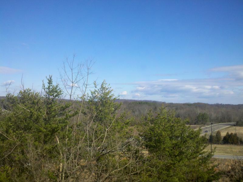 A scenic view of a landscape featuring lush green trees in the foreground, with rolling hills and a clear blue sky in the background. A winding road is visible in the lower part of the image, suggesting a tranquil rural setting. Windrock Bike Park mountain bike trail.