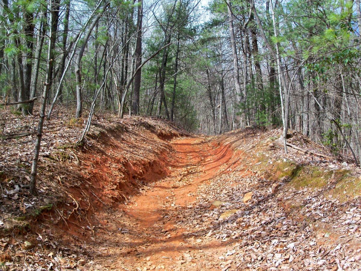 A winding dirt path through a wooded area, surrounded by trees with sparse leaves. The trail is lined with reddish soil and scattered leaves, indicating a natural and slightly rugged outdoor setting. Bull / Jake Mountain mountain bike trail.