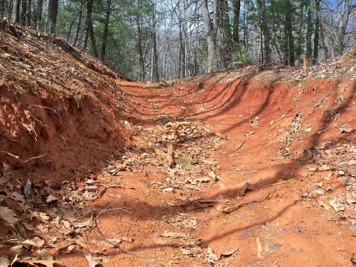 A narrow, dirt trail cut through a wooded area, featuring reddish soil and scattered fallen leaves. The trail is bordered by earthen banks on both sides, and sunlight filters through the trees, casting shadows on the ground. Bull / Jake Mountain mountain bike trail.