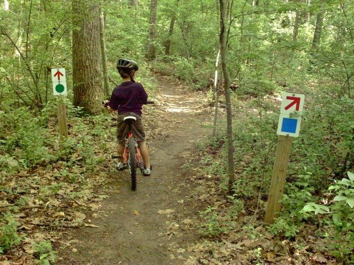 A child on a red bicycle wearing a helmet is paused at a fork in a forested trail, surrounded by lush green trees and foliage. Two directional signs indicate the paths ahead: one with a green circle and an upward arrow, and another with a blue square and a rightward arrow. Sunlight filters through the trees, illuminating the dirt path. Fisher Farm Park mountain bike trail.