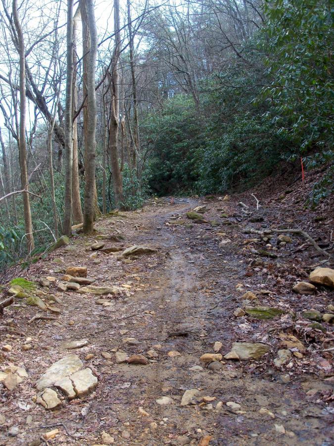 A narrow, rocky dirt path winding through a forest with sparse, leafless trees on either side and dense greenery in the background. The trail appears muddy and uneven, with several stones scattered along the ground. Bull / Jake Mountain mountain bike trail.