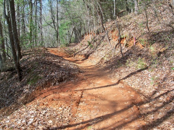 A dirt hiking trail winding through a forest, surrounded by trees and scattered leaves on the ground. The trail is slightly elevated with reddish soil and a clear blue sky visible through the tree canopy.