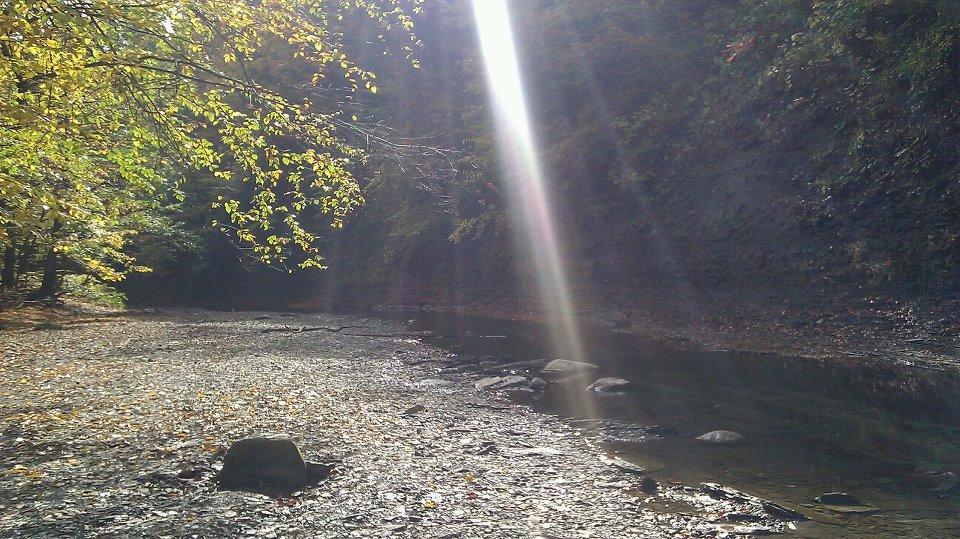 A serene riverside scene featuring smooth, pebbled banks and scattered rocks, illuminated by beams of sunlight filtering through the trees. The surrounding foliage displays autumn colors, with yellow and green leaves contrasting against the dark cliffs in the background. The water reflects the light, creating a tranquil atmosphere. Asbury Woods/ Brown's Farm mountain bike trail.