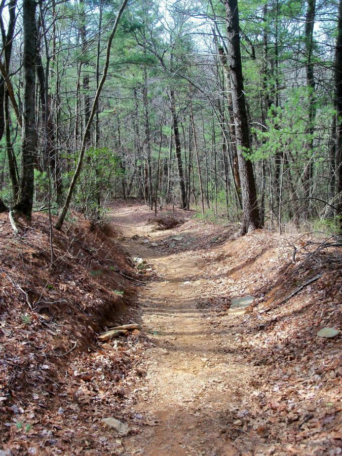 A winding dirt path meanders through a wooded area, lined with trees and patches of green foliage. The ground is covered with fallen leaves and small rocks, creating a natural trail that leads deeper into the forest. The scene is serene and quiet, indicative of an outdoor hiking environment. Bull / Jake Mountain mountain bike trail.
