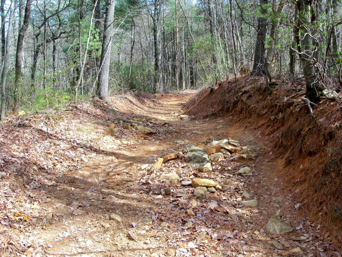 A dirt trail winding through a forest, surrounded by trees and scattered leaves. The path is uneven with visible rocks and earthy textures, indicating a natural hiking route. Sunlight filters through the branches, creating a serene outdoor atmosphere. Bull / Jake Mountain mountain bike trail.