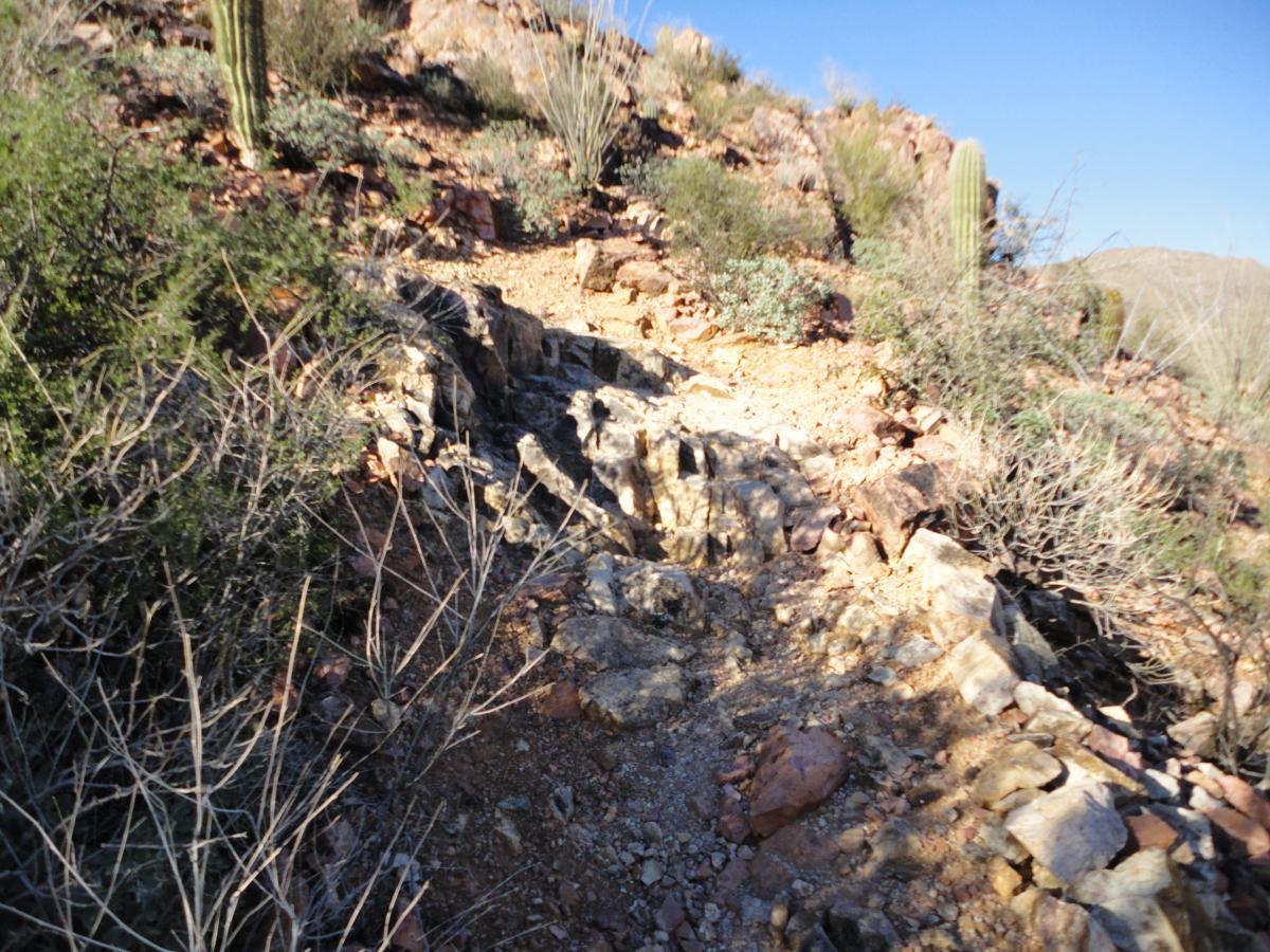 A rocky hiking trail winding through a desert landscape, surrounded by sparse vegetation and cacti under a clear blue sky. Tucson Mountain Park mountain bike trail.