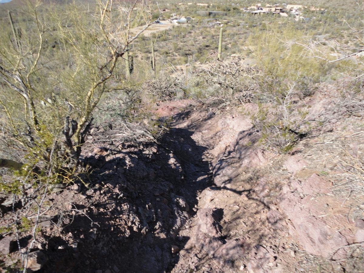 A rocky trail winding through a desert landscape, surrounded by sparse vegetation and cacti, with a distant view of homes and hills in the background. Tucson Mountain Park mountain bike trail.