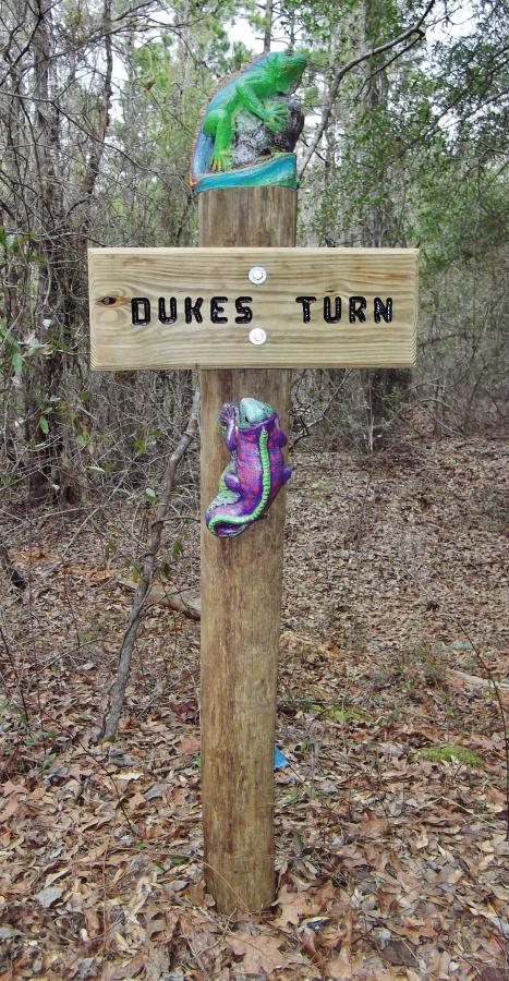 A wooden signpost reading "DUKES TURN" is situated in a wooded area, with colorful sculptures of a lizard and a snake mounted on top. The ground is covered with brown leaves, and trees can be seen in the background, creating a natural setting. Killer Three Loop mountain bike trail.