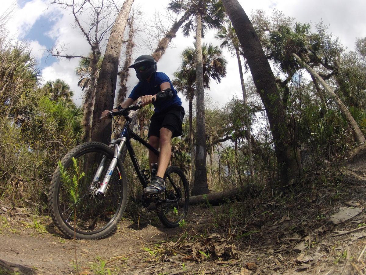 A person riding a mountain bike on a dirt trail surrounded by tall trees and lush vegetation. The rider is wearing a helmet and protective gear, navigating through a natural outdoor setting with palm trees and sparse underbrush. Little Big Econ State Forest mountain bike trail.
