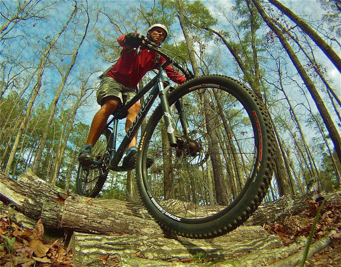 A cyclist riding a mountain bike over a fallen log in a dense forest, with trees in the background and a cloudy sky above. The angle captures the bike and rider from below, emphasizing the action and terrain. San Felasco Hammock Preserve mountain bike trail.