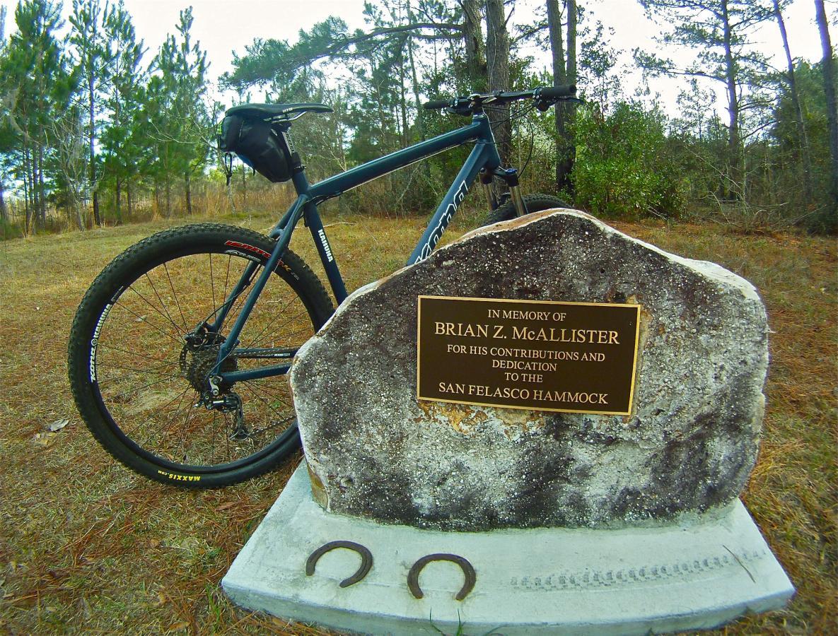 A mountain bike resting next to a memorial stone engraved with a plaque honoring Brian Z. McAllister for his contributions and dedication to the San Felasco Hammock, set in a natural landscape surrounded by trees. San Felasco Hammock Preserve mountain bike trail.