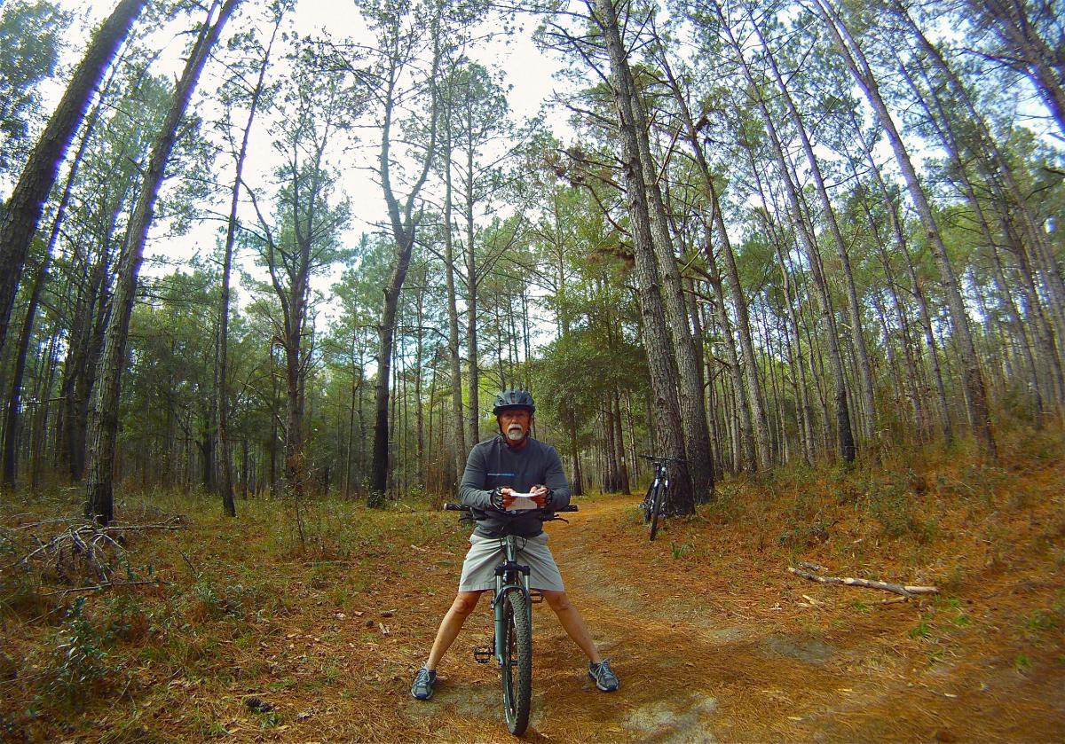 A person in a cycling helmet is sitting on a mountain bike, positioned on a dirt path in a forested area. Tall trees with green foliage surround the scene, and the ground is covered with pine needles. The individual appears to be holding a small notepad or device, reflecting a moment of rest during a bike ride. San Felasco Hammock Preserve mountain bike trail.
