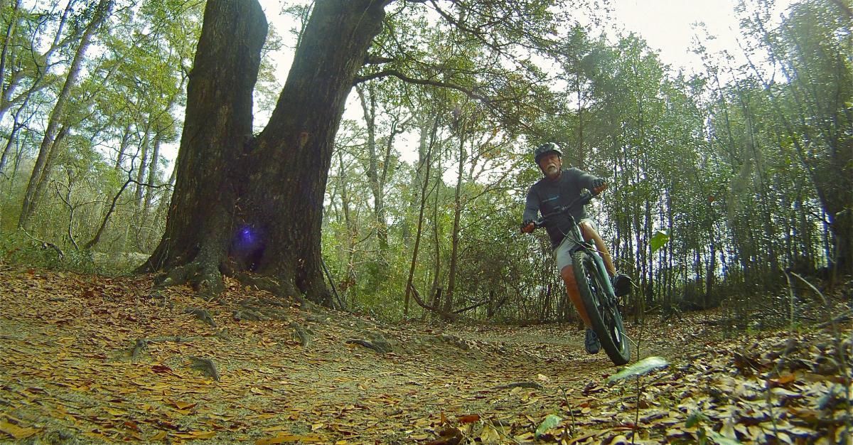 A cyclist rides a mountain bike on a dirt trail surrounded by trees and fallen leaves. The scene captures the motion of the rider as they navigate through a wooded area, with a large tree visible in the foreground. San Felasco Hammock Preserve mountain bike trail.