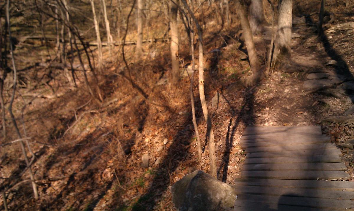 A narrow wooden bridge crossing a forested area with scattered leaves and trees in early spring. Sunlight filters through the branches, casting shadows on the ground. The terrain is natural and rugged, indicating a hiking path through the woods. Slaughter Pen Trail mountain bike trail.