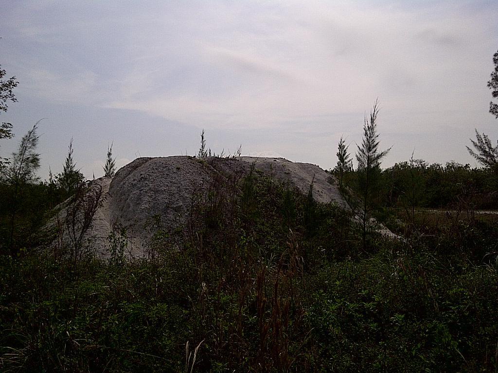 A mound of earth surrounded by lush green vegetation under a cloudy sky. West Delray Regional Park mountain bike trail.