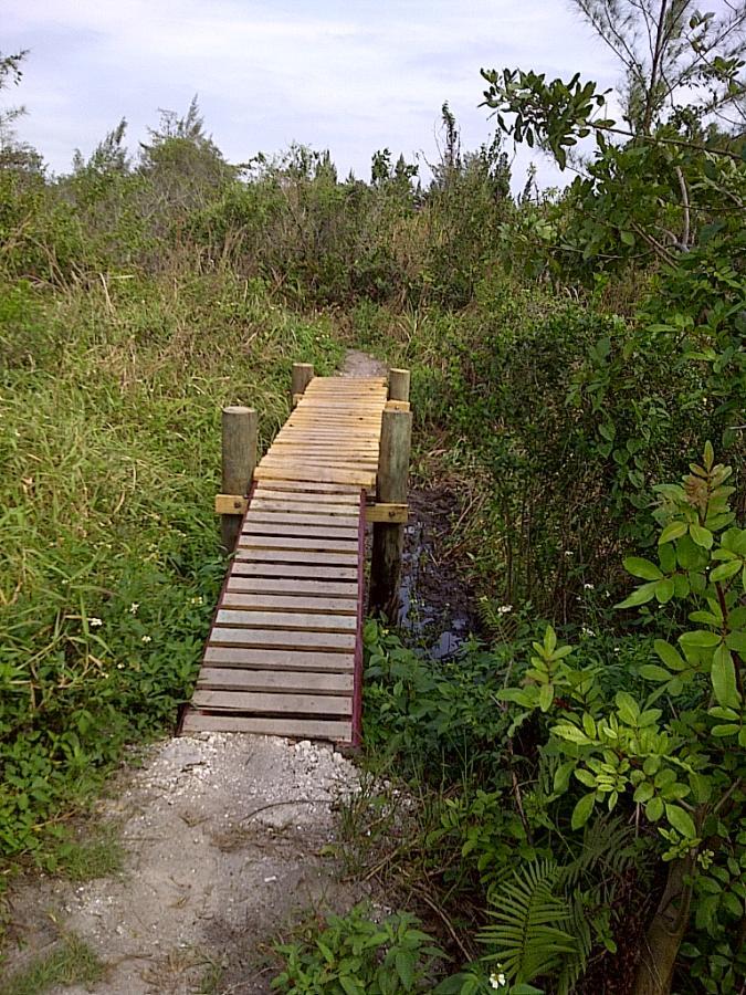 A wooden walkway extends across a small waterway, surrounded by lush green vegetation and tall grasses. The path leads into a dense natural area with sparse trees in the background under a cloudy sky. West Delray Regional Park mountain bike trail.