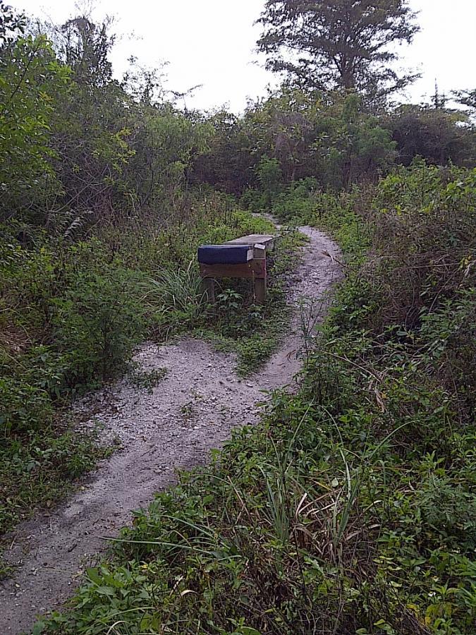 A narrow, winding path through a dense, green area of shrubs and grass, featuring a wooden bench partially covered with a dark cloth. The path appears soft and sandy, leading through the natural landscape. West Delray Regional Park mountain bike trail.