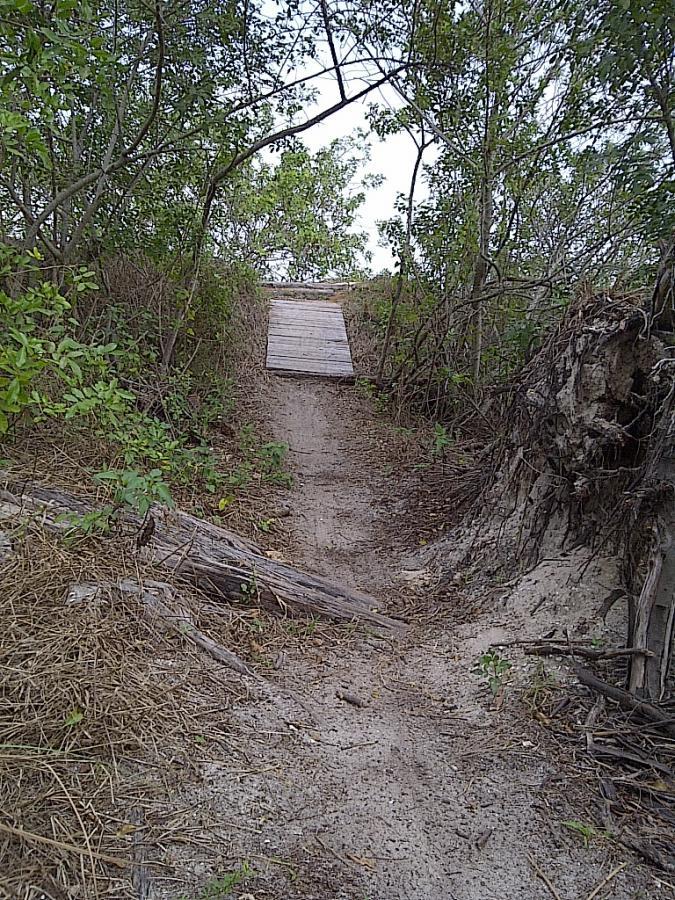 A narrow path leading through dense greenery, with a wooden boardwalk crossing a sandy area. The path appears to be a trail that leads to an open area, partially obscured by surrounding foliage. West Delray Regional Park mountain bike trail.