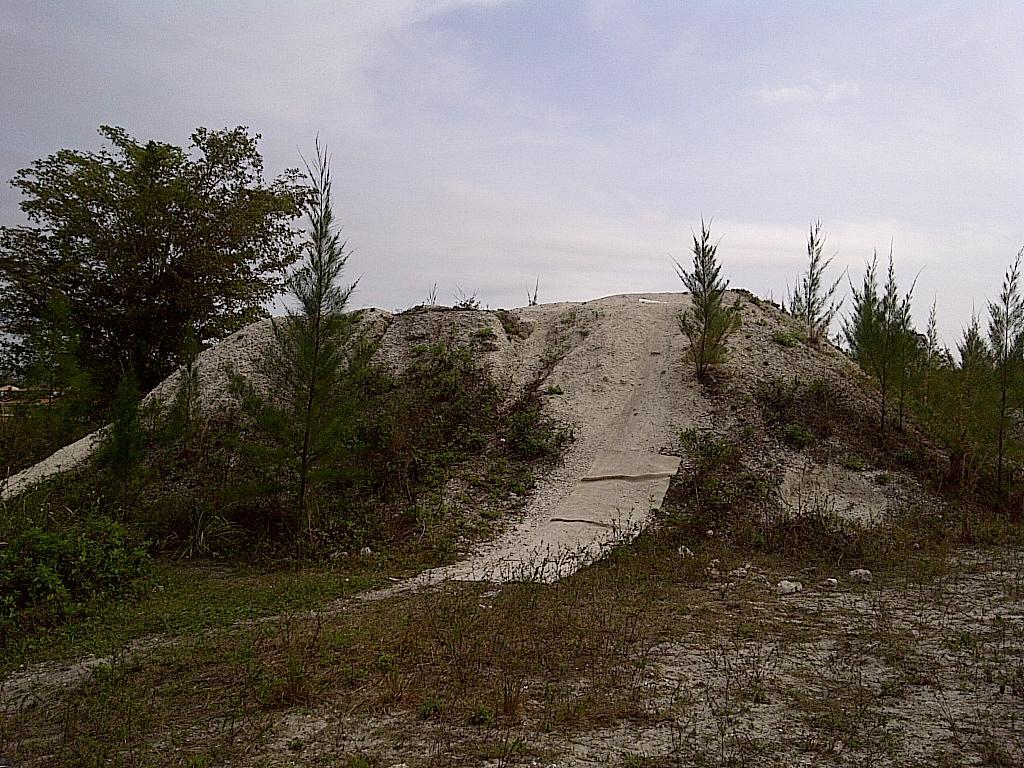 A small sandy hill surrounded by sparse vegetation, with a gentle slope and some young pine trees at the base. The sky is overcast, indicating a cloudy day. The area appears to be a natural landscape without any visible structures or people. West Delray Regional Park mountain bike trail.