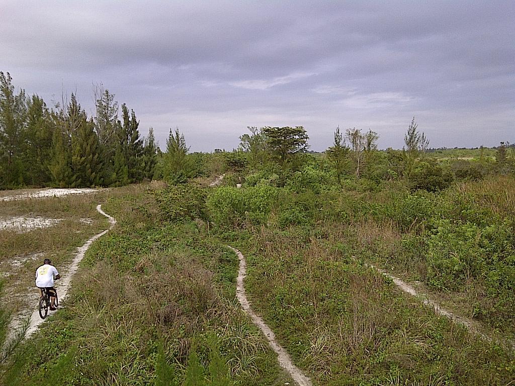 A cyclist riding a mountain bike along a winding dirt trail through lush greenery and tall grasses, with trees in the background under a slightly cloudy sky. West Delray Regional Park mountain bike trail.