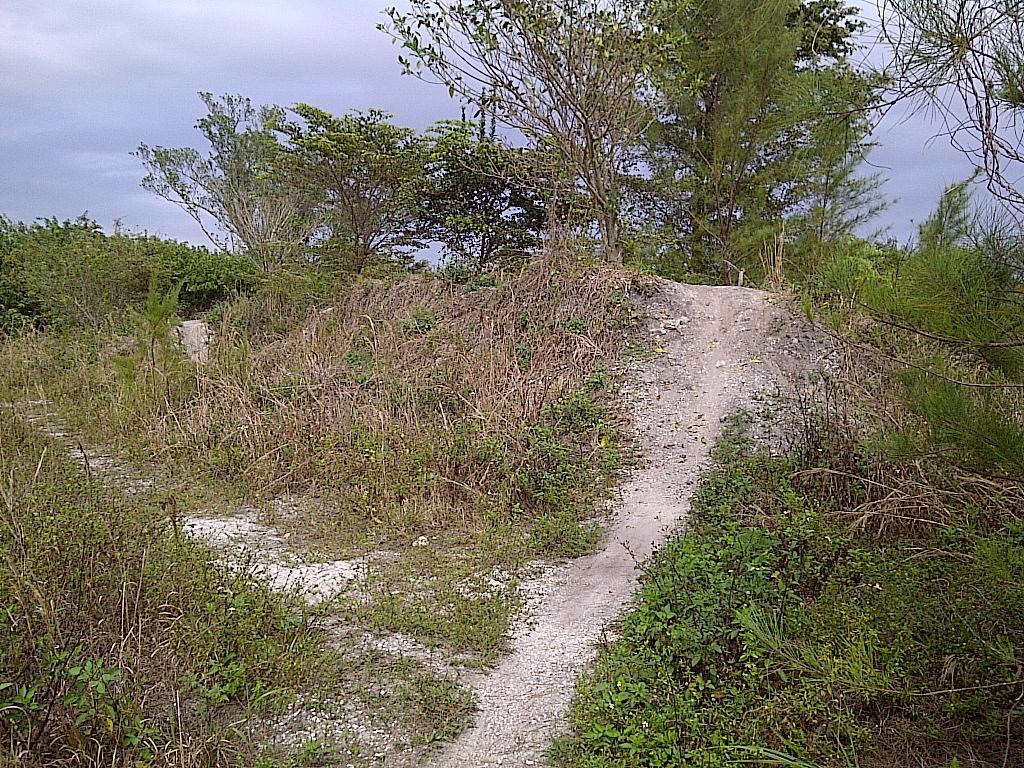 A dirt path winding through overgrown vegetation, leading to a raised, sandy area with sparse trees and shrubs, under a cloudy sky. West Delray Regional Park mountain bike trail.