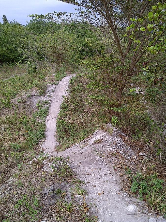 A narrow dirt path winding through a grassy area, surrounded by low shrubs and trees. The path is slightly elevated, with visible sandy and rocky terrain on either side. The sky is overcast, suggesting a cloudy day. West Delray Regional Park mountain bike trail.