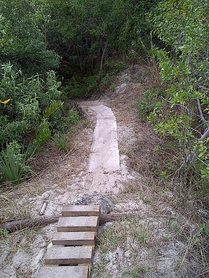 Alt text: A narrow, sandy path bordered by dense greenery leads into the woods. The path is partially covered with a flat plank and has wooden steps at the entrance, blending into the natural surroundings. West Delray Regional Park mountain bike trail.