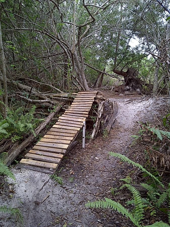A narrow wooden bridge made of planks stretches over a small path in a dense, leafy forest. The surrounding area is filled with green ferns and tangled branches, creating a natural, rustic setting. The trail leads into the thick undergrowth, inviting exploration. West Delray Regional Park mountain bike trail.