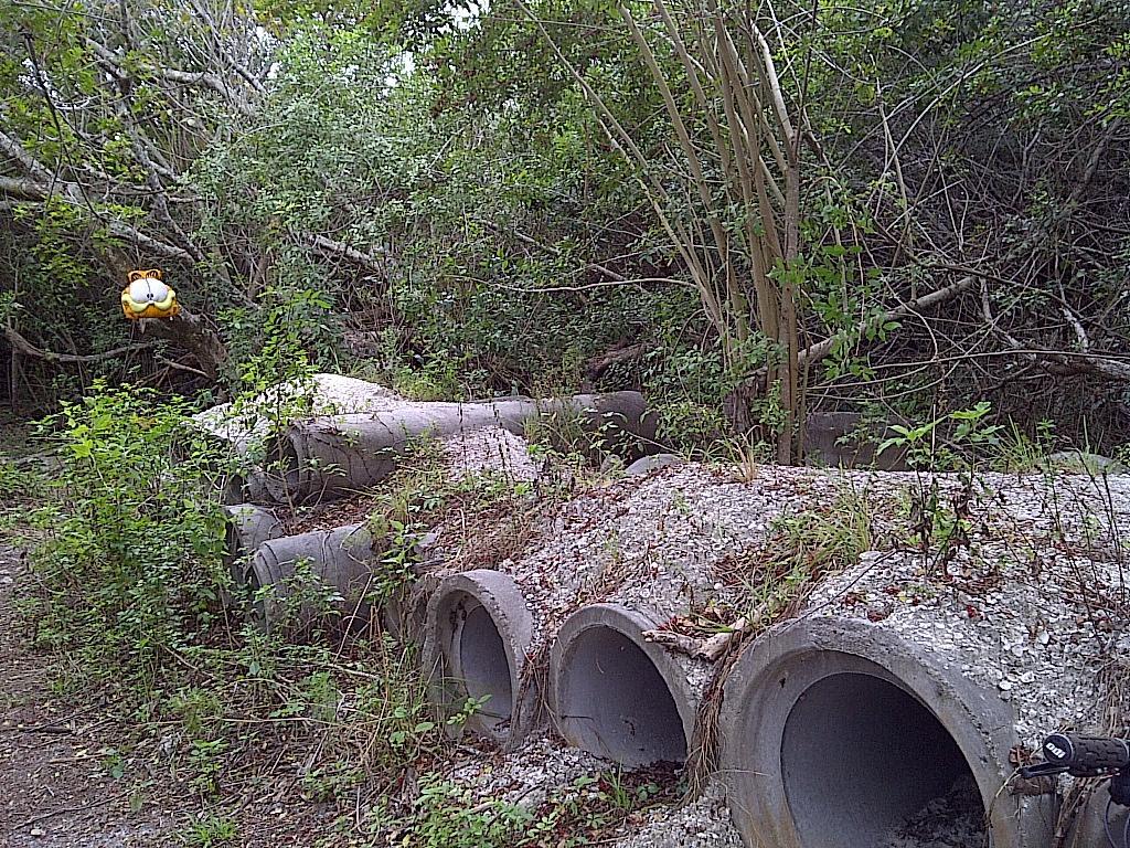 A cluster of concrete pipes partially covered with gravel, surrounded by dense greenery and trees. In the background, a cartoonish, smiling character figurine is suspended from a branch, adding a whimsical touch to the overgrown scene. West Delray Regional Park mountain bike trail.