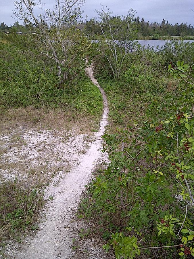 A narrow dirt path winding through dense greenery, leading towards a body of water in the background, under a cloudy sky. West Delray Regional Park mountain bike trail.