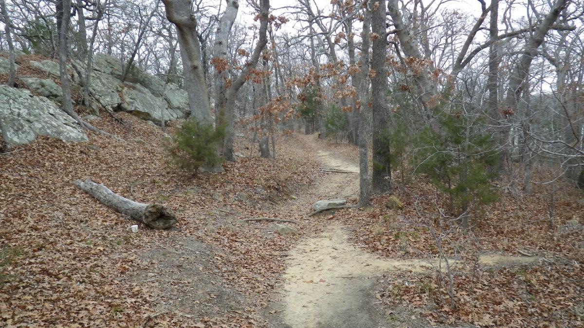A dirt path winding through a forest with bare trees and patches of grass. The ground is covered with fallen leaves, and there are scattered rocks along the trail. A fallen log lies beside the path, and the atmosphere appears calm and serene. Lake Murray State Park mountain bike trail.