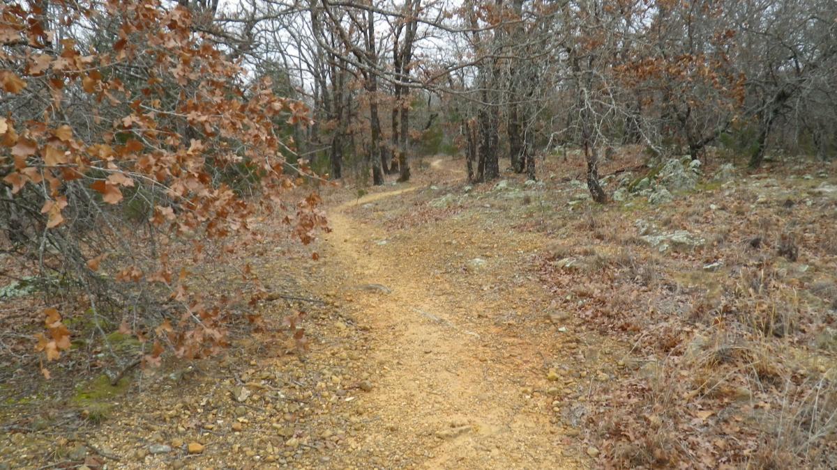 A winding dirt path leads through a wooded area, surrounded by trees with sparse, brown leaves. The ground is rocky and dry, with patches of grass and small stones visible along the trail. The scene conveys a quiet, natural environment, ideal for hiking or exploring. Lake Murray State Park mountain bike trail.