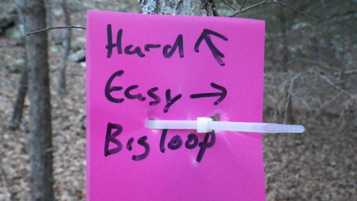 A bright pink sign attached to a tree, featuring handwritten text that reads "Hard" with an arrow pointing up, "Easy" with an arrow pointing right, and "Big Loop" below. The sign is secured with a white zip tie, and the background shows a wooded area with leaves on the ground. Lake Murray State Park mountain bike trail.