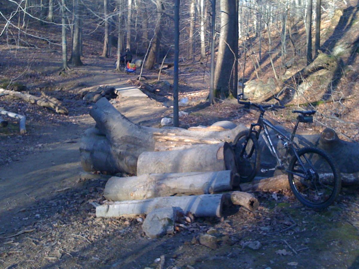 A mountain bike rests on a pathway made of logs and branches, surrounded by a wooded area with bare trees in early spring. In the background, a dirt trail winds through the forest, indicating a natural environment suitable for biking and outdoor activities. Patapsco Valley State Park (Avalon Area) mountain bike trail.