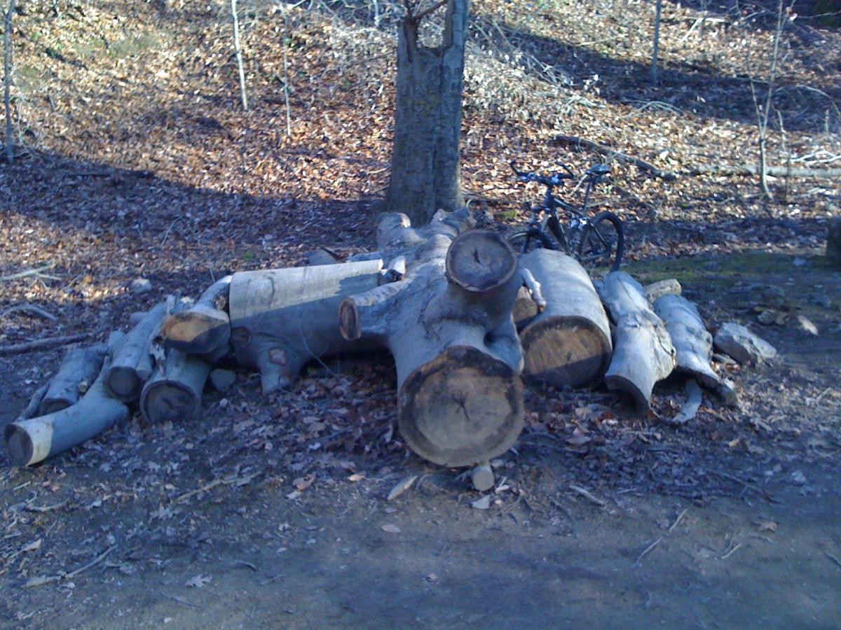 A pile of logs in a wooded area, surrounded by fallen leaves. In the background, a black bicycle is leaning against a tree. The ground is covered with dirt and leaves, indicating a natural outdoor setting. Patapsco Valley State Park (Avalon Area) mountain bike trail.